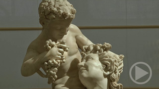 The Farnese Collection and the History of the Museum